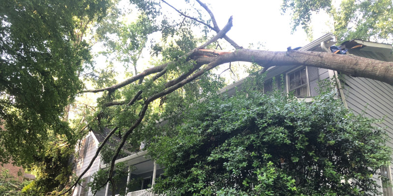 Disaster Restoration, Cartersville, Georgia
