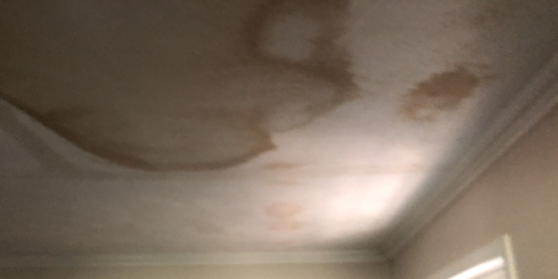 Mold Damage Repair in Cartersville, Georgia