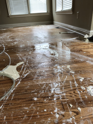 Attic Water Damage Repair in Cartersville, Georgia