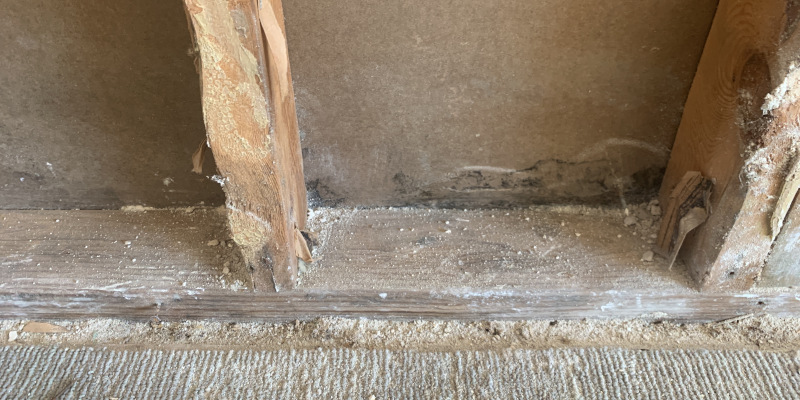 Mold Remediation in Cartersville, Georgia