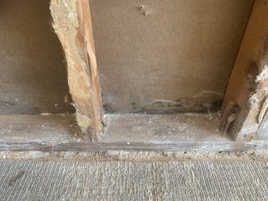 What to Expect from Our Mold Remediation Services