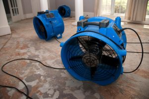 Most Common Signs of Water Damage