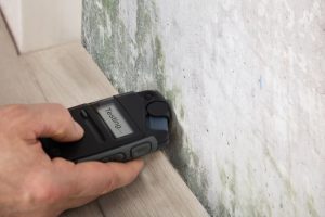 Top Benefits of Mold Testing