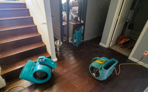 How the Professional Water Removal Process Works