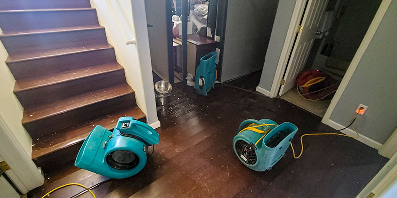 How the Professional Water Removal Process Works